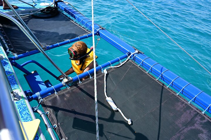 Oahu Catamaran Snorkel Tour: Turtles Guaranteed, photo 6 of 10