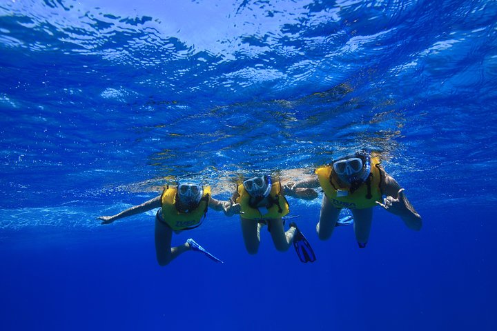 Waikiki Turtle Canyon Guided Snorkel: Turtle Guarantee, photo 4 of 10