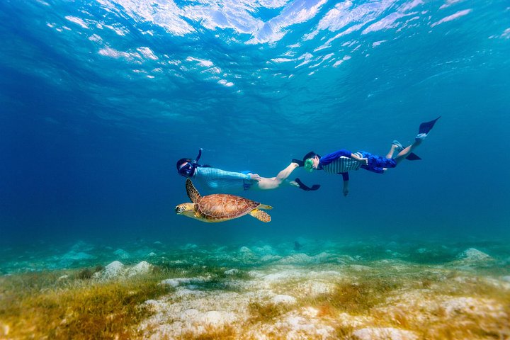 Turtle Canyon Snorkel Adventure, Small Group 6 Passengers, photo 2 of 10