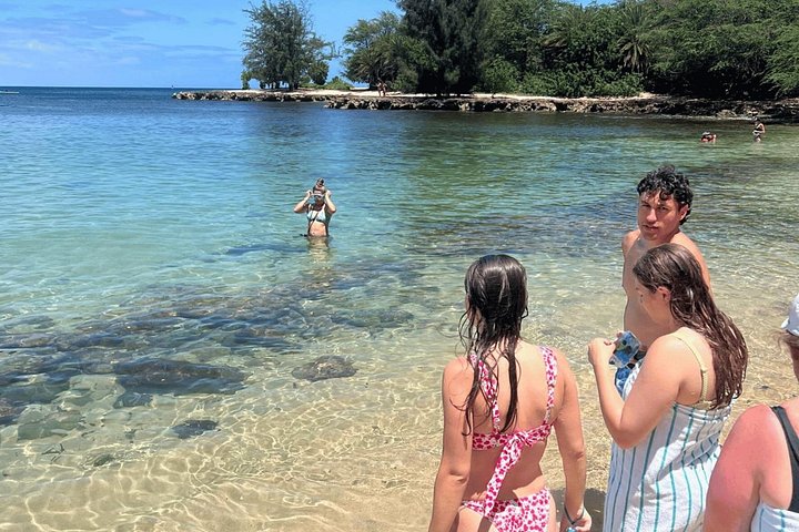 Oahu Small-Group Circle Island Tour with Turtle Snorkeling, photo 6 of 10