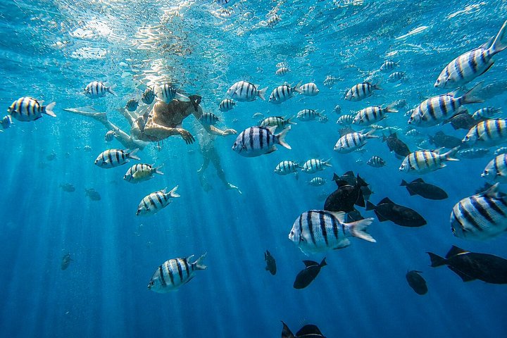 Waikiki: Small Group Turtle Canyon Snorkel Boat Tour, photo 3 of 10
