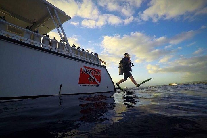 DISCOVER Scuba Diving Experience in Honolulu, photo 6 of 10