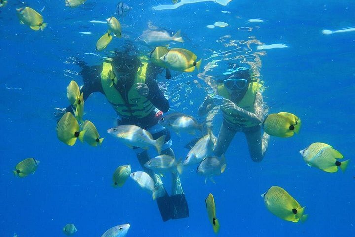 Ko Olina Catamaran Sail and Snorkel with Lunch, photo 9 of 10