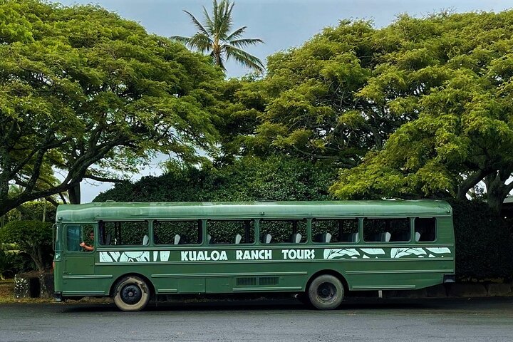 Oahu Kualoa Ranch Movie Sites and Ranch Tour, photo 4 of 8