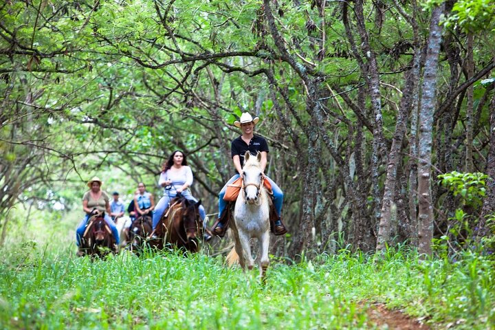 Oahu Sunset Horseback Ride on the North Shore, photo 6 of 6