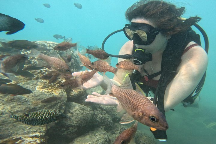 Beginner Scuba Diving Experience with Video Package in Honolulu, photo 7 of 10