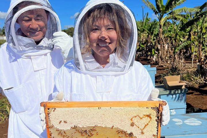 Bee Farm Ecotour and Honey Tasting in Waialua, North Shore Oahu, photo 6 of 10