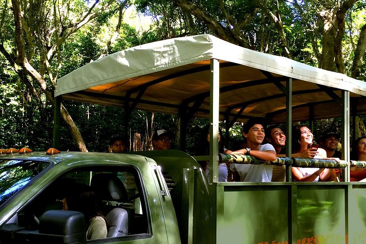 Kualoa Ranch, Best of Kualoa Experience Package, photo 4 of 10