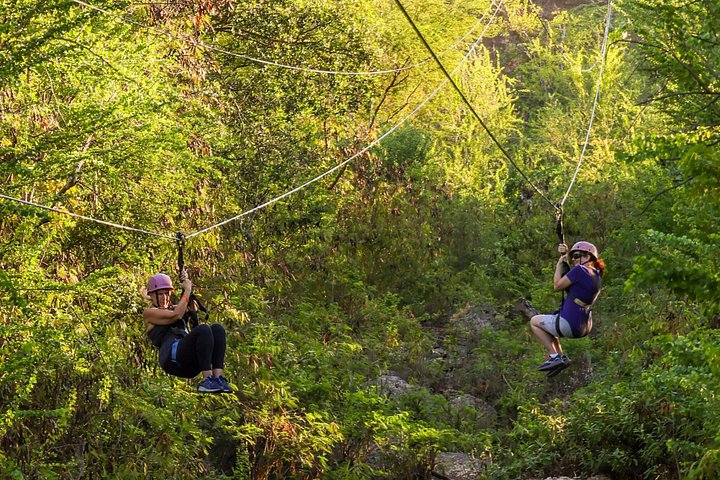 6 Zipline Adventure, Optional Waikiki Shuttle for the 10 a.m. Tour, photo 10 of 10