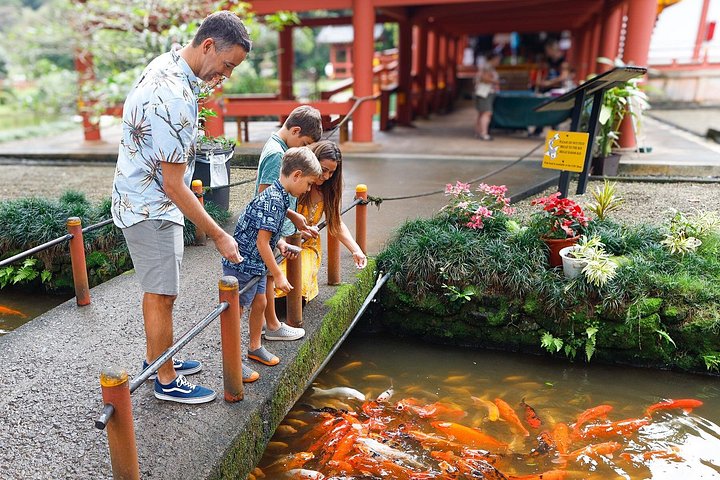 Oahu: Full or Half Day Grand Circle Island Tour, photo 4 of 10