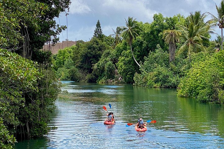 Oahu North Shore Fun: Waimea Waterfall and Turtle Snorkeling, photo 9 of 10
