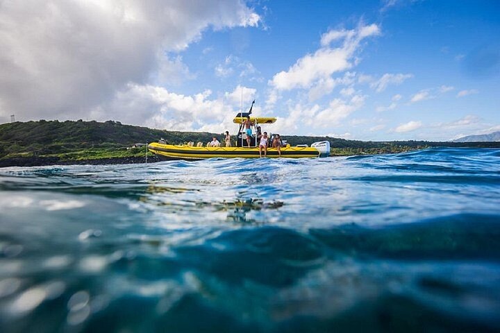 Shark-Dive Tour on Oahu's North Shore, photo 6 of 10