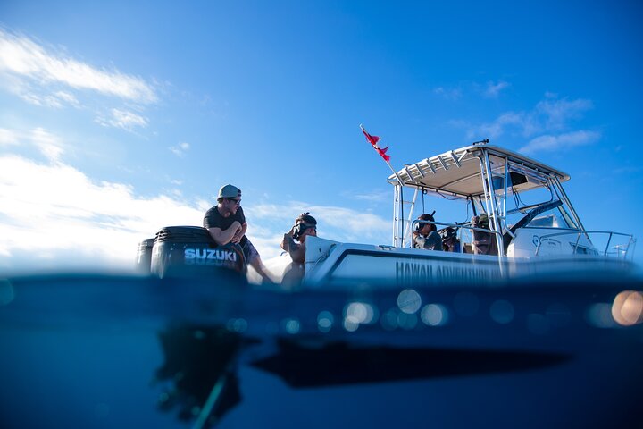 Private Shark Dive for up to 6 Guests, Oahu, photo 3 of 10