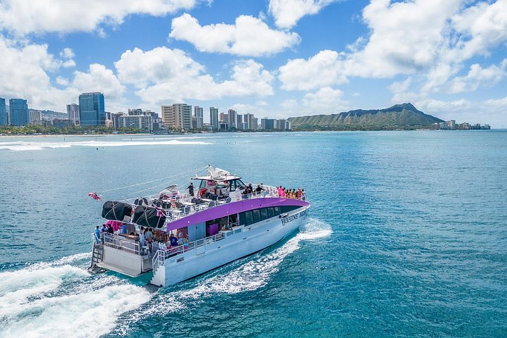 Waikiki 2-Hour Whale Watching with Guaranteed Sightings, photo 6 of 8