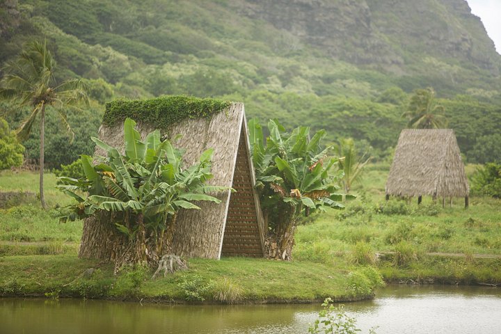 Kualoa Ranch Novice E-Bike, photo 9 of 10