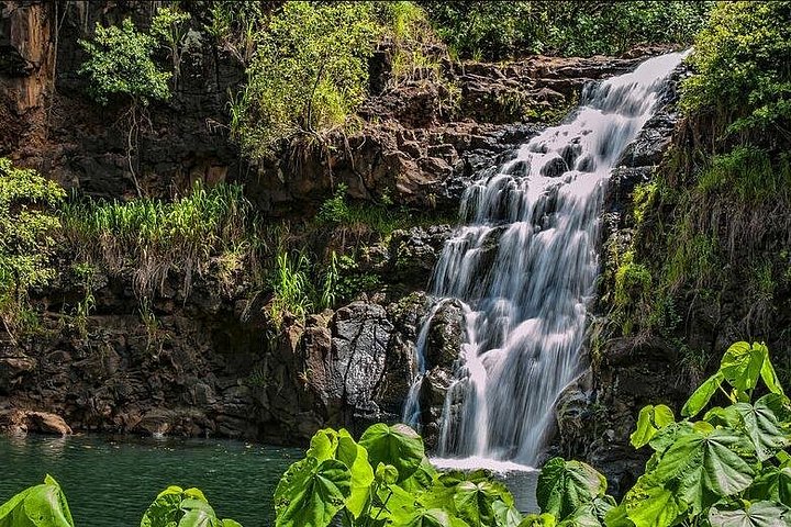 Oahu Circle Island Tour with Waimea Valley Waterfall, photo 2 of 10