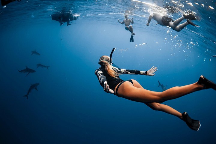 Oahu Open Water Shark Diving Experience, photo 2 of 10