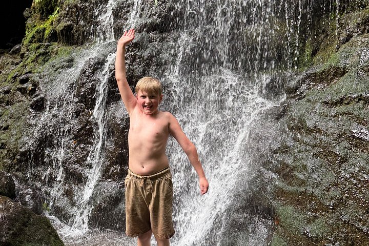 Hike to a Tropical Waterfall with Pickup, photo 5 of 10