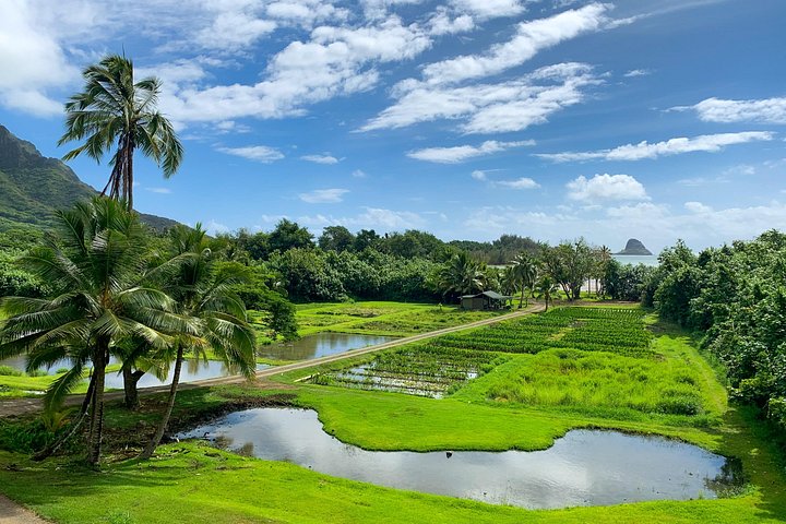Kualoa Ranch, Best of Kualoa Experience Package, photo 7 of 10