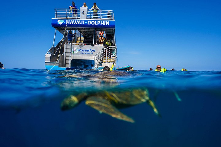 Swim with Dolphins Catamaran with Waterslide and Lunch on Oahu, photo 7 of 10