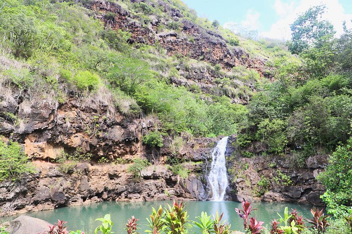 Waimea Valley Waterfall Swim and Dole Plantation Tour with Lunch, photo 9 of 10