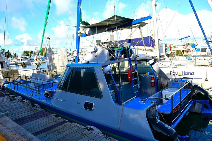 Oahu Catamaran Snorkel Tour: Turtles Guaranteed, photo 9 of 10