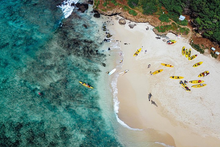 Kayak to the Mokulua Islands, Queen's Bath and Snorkel, Kailua, photo 2 of 10