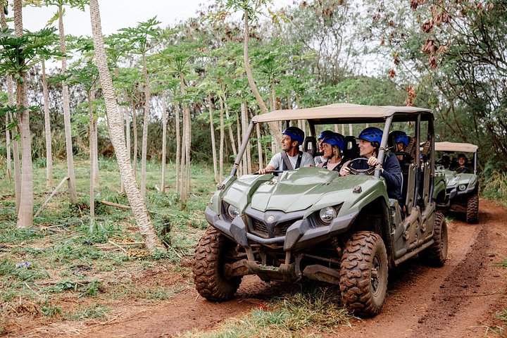 Oahu's North Shore: 8-Line Zipline Adventure, photo 2 of 10