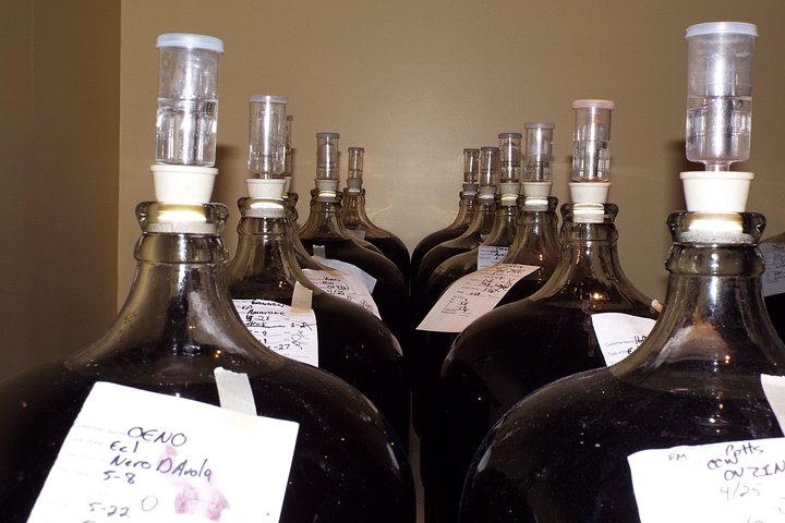 Winery Oeno Island Style Wine Tasting, photo 7 of 10