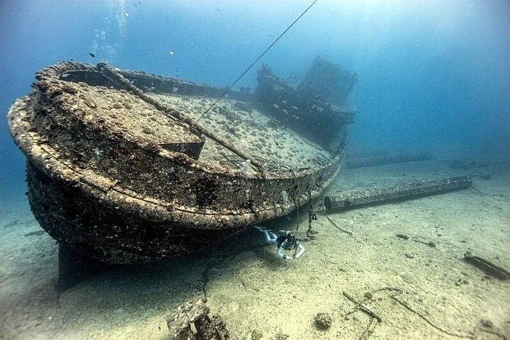 Certified Diver: 2-Tank Deep Wreck and Shallow Reef Dive off Oahu, photo 10 of 10