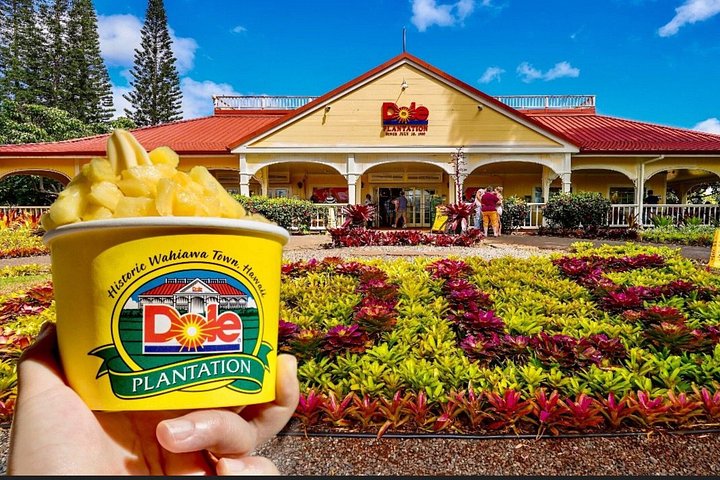 Ko Olina to the North Shore: Waimea Falls and Dole, photo 7 of 8