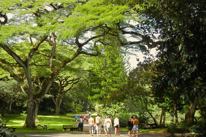 Ko Olina to the North Shore: Waimea Falls and Dole, photo 6 of 8