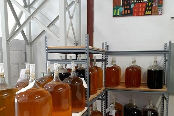 Winery Oeno Island Style Wine Tasting, photo 9 of 10