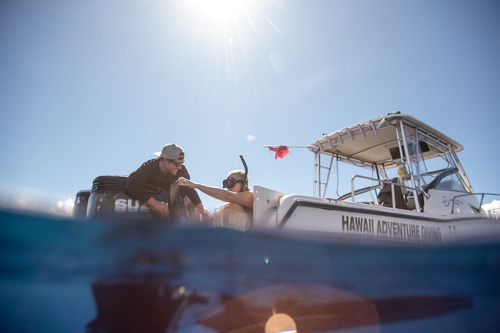 Open Water Shark Dive, photo 5 of 10