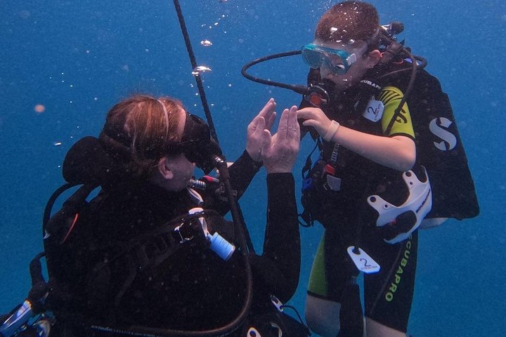 DISCOVER Scuba Diving Experience in Honolulu, photo 8 of 10