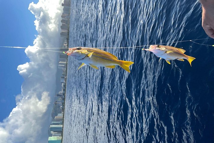 Private Fishing Charter for Family and Friends in Honolulu, photo 8 of 10