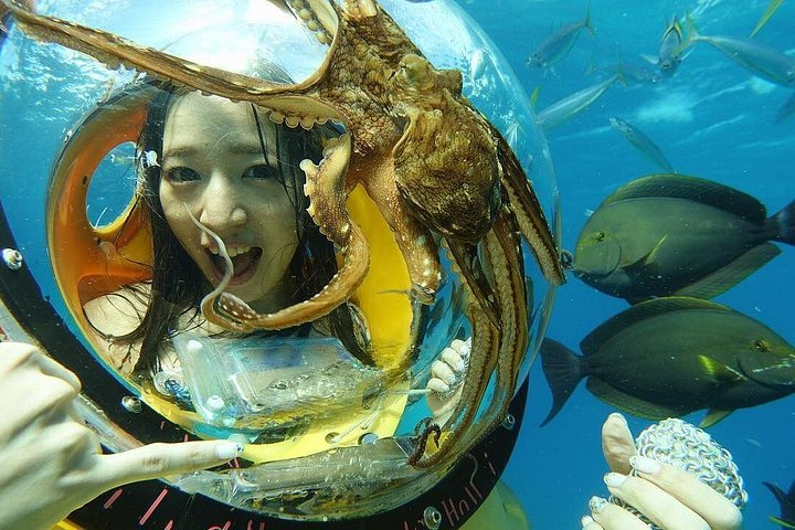 Oahu: Submarine Scooter Adventure, photo 4 of 6