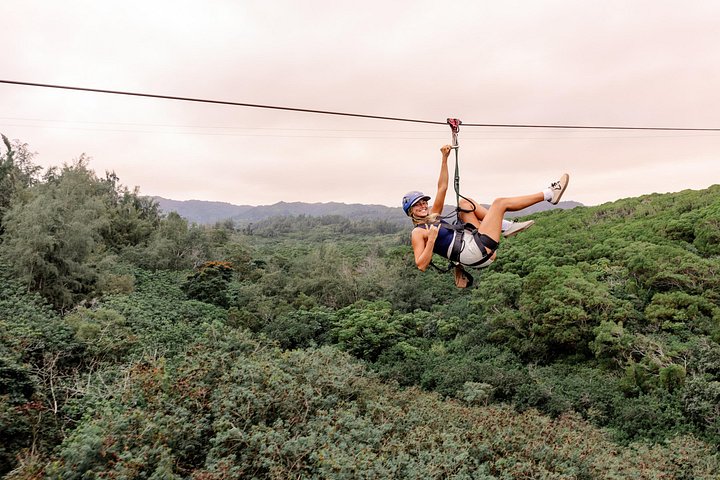 Oahu's North Shore: 8-Line Zipline Adventure, photo 5 of 10