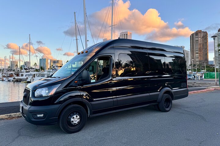 Honolulu Private Transfer: Airport, Port, Hotel, 1 to 12 Passengers, photo 3 of 10