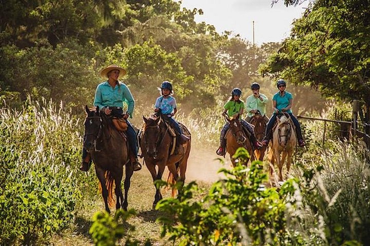 Oahu Sunset Horseback Ride on the North Shore, photo 3 of 6