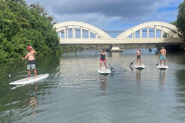 Haleiwa River Paddleboard Rental with Blue Planet Adventure, photo 8 of 10