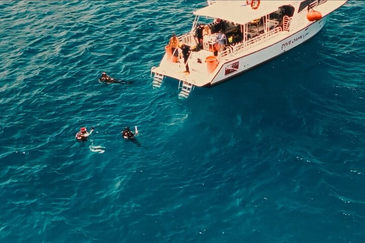 DISCOVER Scuba Diving Experience in Honolulu, photo 2 of 10