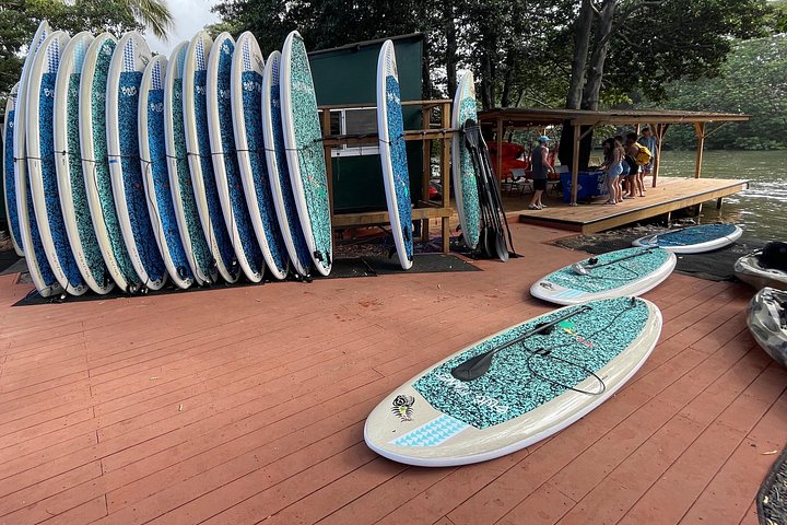 Haleiwa River Paddleboard Rental with Blue Planet Adventure, photo 7 of 10