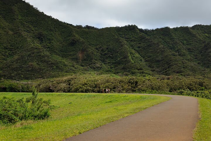 Hike to a Tropical Waterfall with Pickup, photo 8 of 10