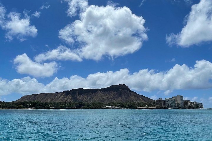 Waikiki: Turtle Canyon Snorkel Adventure on Oahu, photo 9 of 9