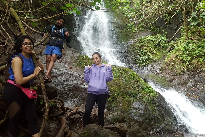 Oahu Hidden Waterfall Hike, photo 3 of 6