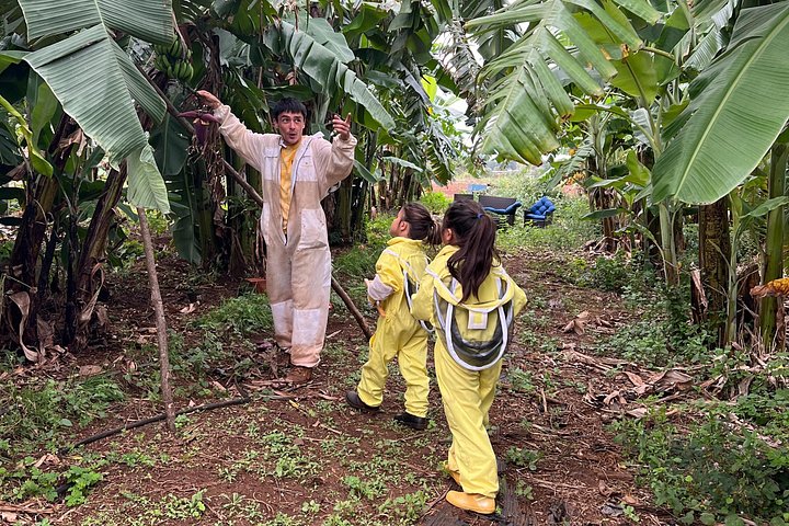 Bee Farm Ecotour and Honey Tasting in Waialua, North Shore Oahu, photo 4 of 10
