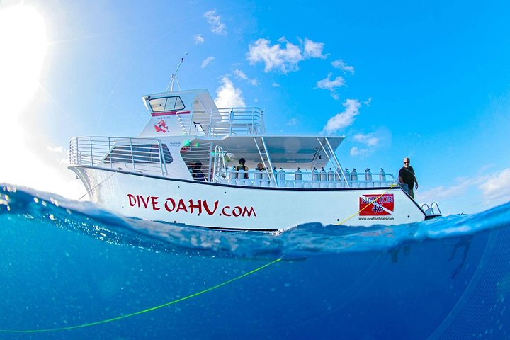 Certified Diver: 2-Tank Deep Wreck and Shallow Reef Dive off Oahu, photo 9 of 10