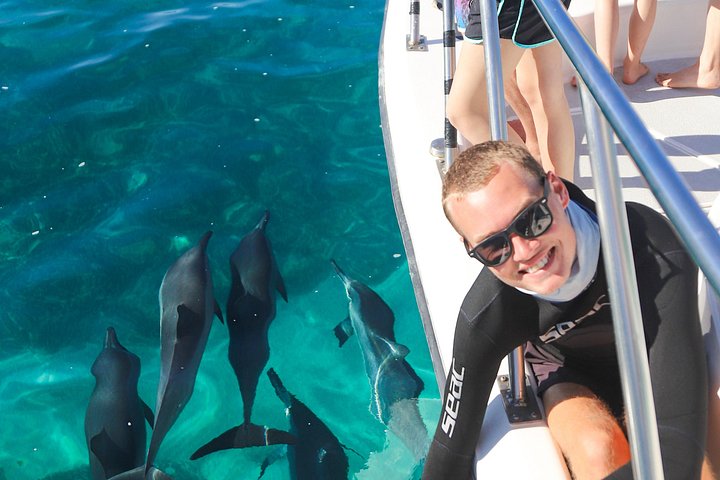 Small-Group Dolphin Turtle and Whale Safari w/ Marine Biologists, photo 5 of 10