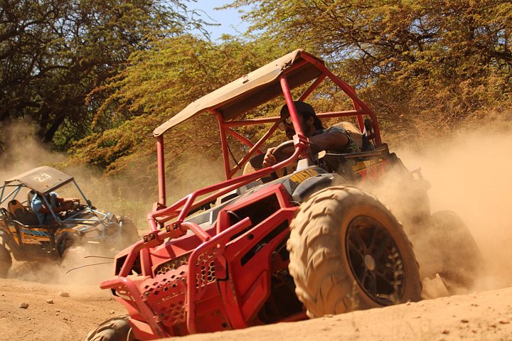 Oahu: ATV Off Road Adventure, photo 8 of 10